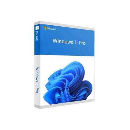 MS Windows 11 Pro 64-Bit DVD