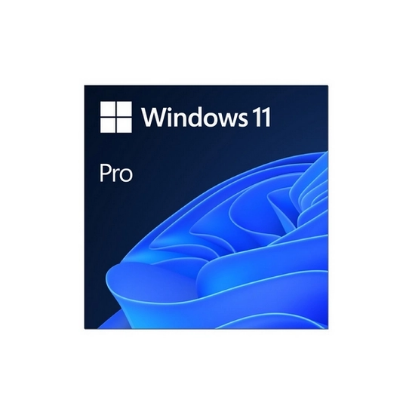MS ESD Windows Professional 11