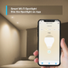 TP-LINK Smart Wi-Fi Spotlight Dimmable