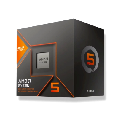 AMD Ryzen 5 5600